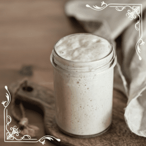 activating the little sourdough starter culture in your home kitchen for baking loaves of sourdough bread