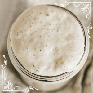 bubbling fermentation from the little sourdough stater jar before making sourdough bread at home in your kitchen